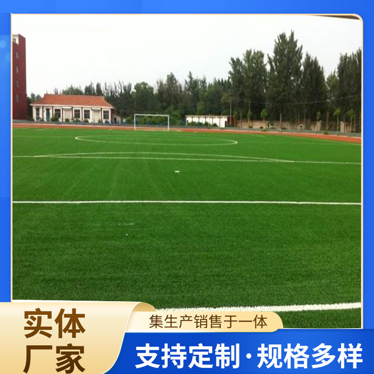 焦作市塑胶跑道人造草坪 - 推荐